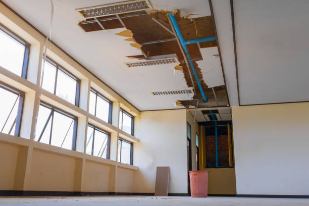 , MN Water damage restoration Company