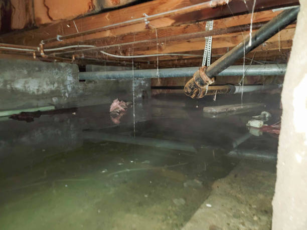 Best Ceiling water damage repair  in Gilbert, MN