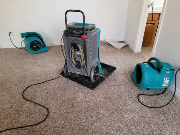 Best Fire Damage Restoration  in Gilbert, MN