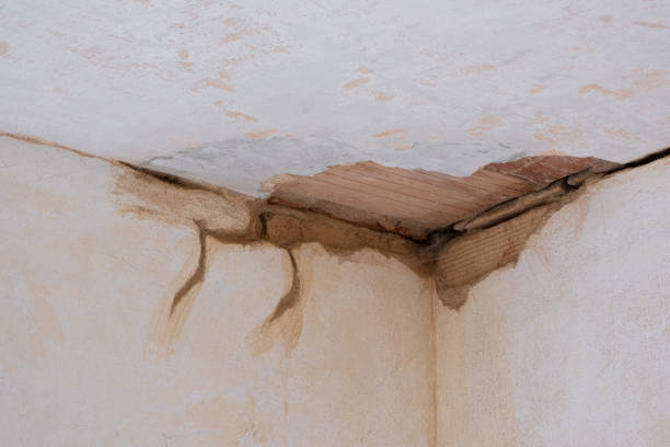 Best Sewage cleanup and water damage restoration  in Gilbert, MN