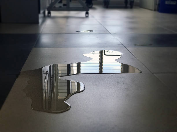 Best 24/7 water damage repair  in Gilbert, MN