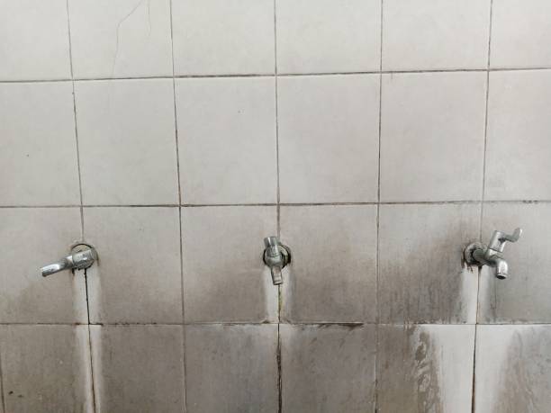 Best Flooded house restoration  in Gilbert, MN