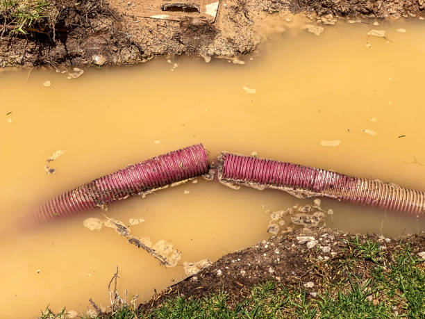 Best Water damage restoration process  in Gilbert, MN